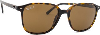 Ray-Ban Leonard RB2193 902/57 53